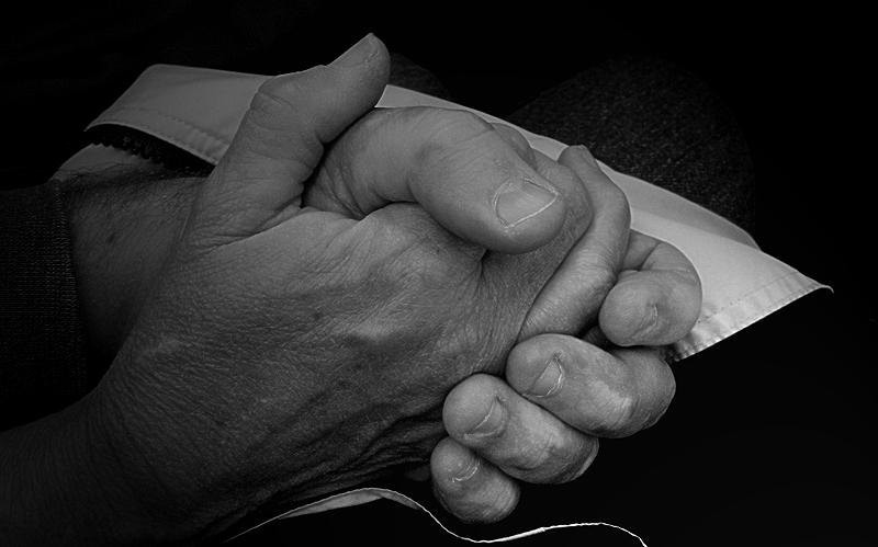 Craft your life in motion...